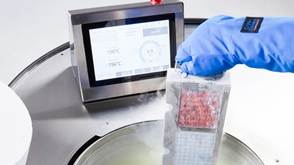 如何正確使用液氮罐？貝爾科技來告訴你