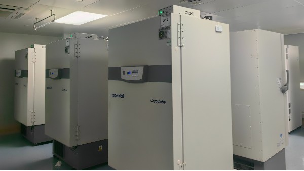 零下90度的超低溫冰箱里樣本能存活多久？答案取決于什么呢？25.5.26