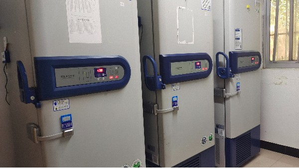 BEOL貝爾科技給超低溫樣本的保存再多一份保險24.8.8